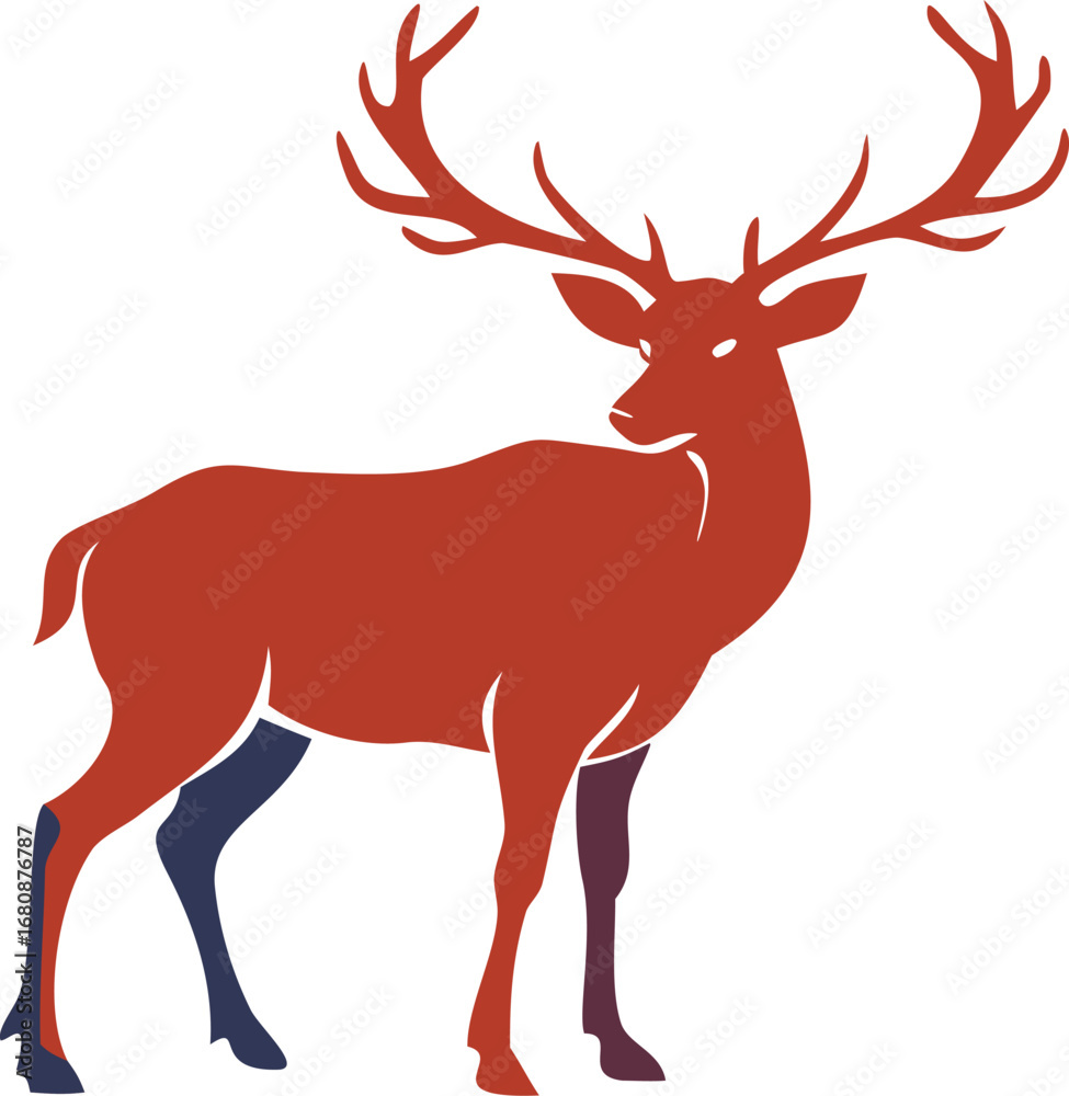 Obraz premium Red deer with prominent antlers standing against a plain white background