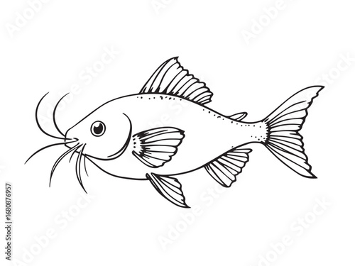Catfish vector line art 