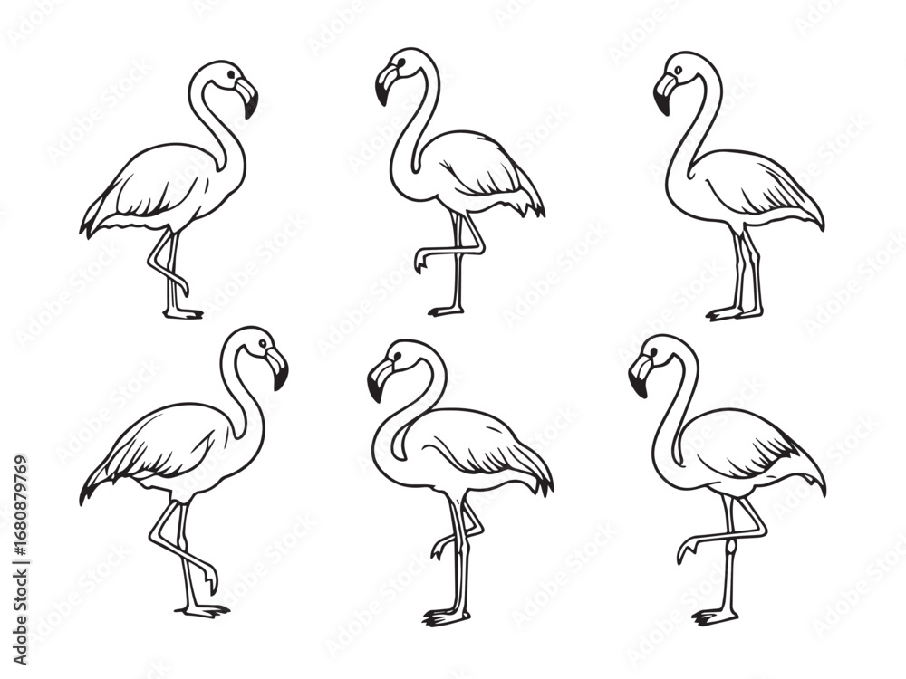 Fototapeta premium Flamingo line art illustration