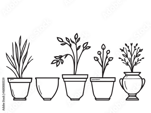flower pot line art illustration