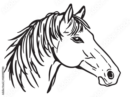 Horse line art illustration