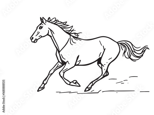Horse line art illustration