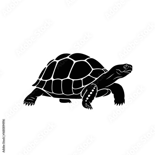 Black tortoise silhouette isolated on white background
