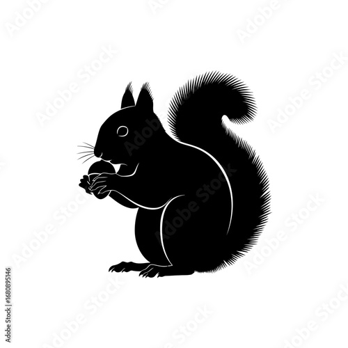 Black squirrel holding a nut silhouette isolated on white background