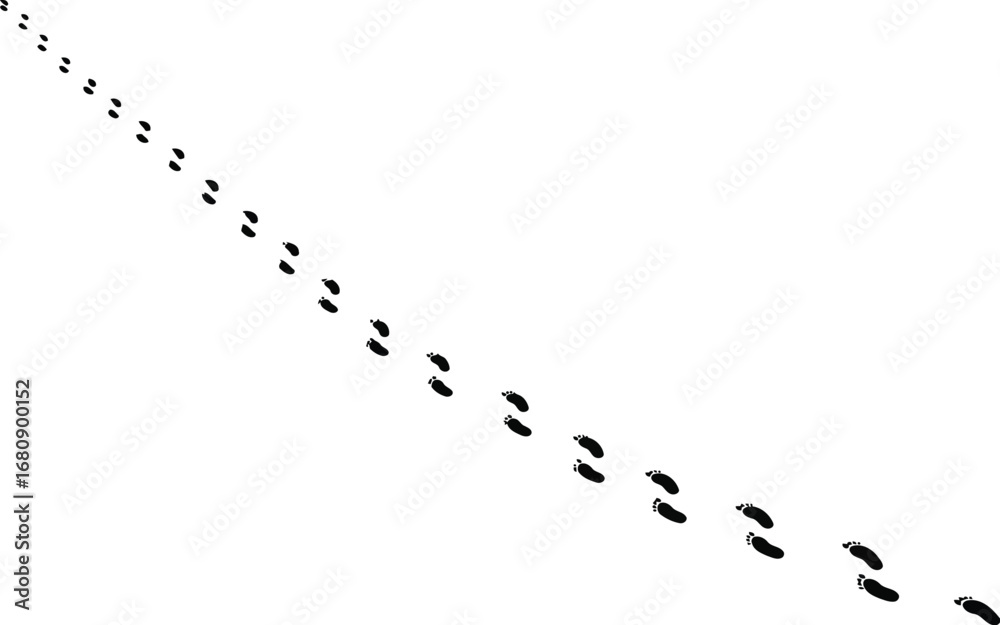 Animal tracks on white background Animal tracks on white background