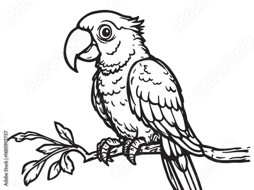 Parrot Line Art Illustration