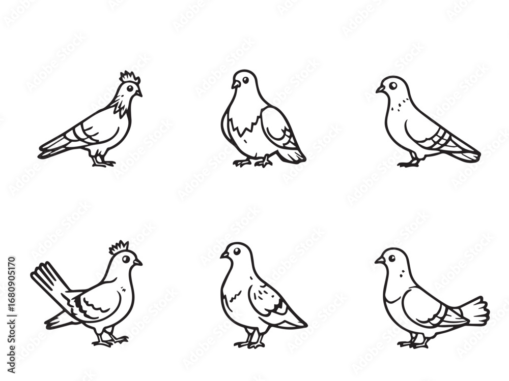 Fototapeta premium Pigeon Line Art Illustration