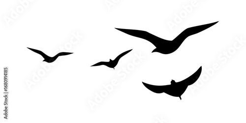 Birds in flight and perched on white background silhouette