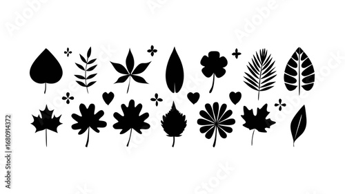 Black Raindrops Falling weather precipitation