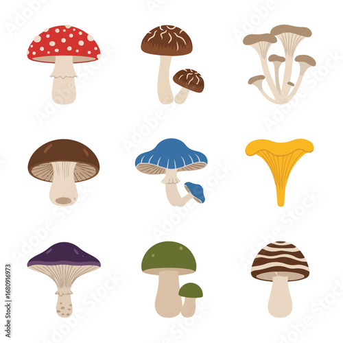 vector illustration of mushrooms