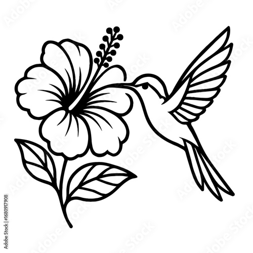 Hummingbird and Hibiscus Flower Vector - Beautiful Line Art Illustration