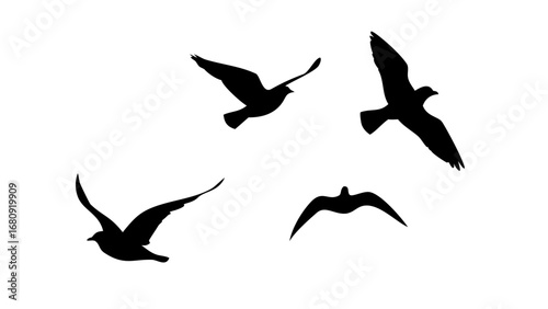 Flock of Birds in Flight and Perched flying silhouette