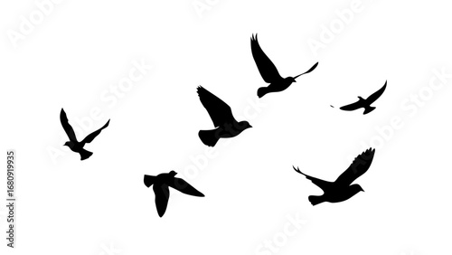 Flock of birds in flight and perched flying silhouette
