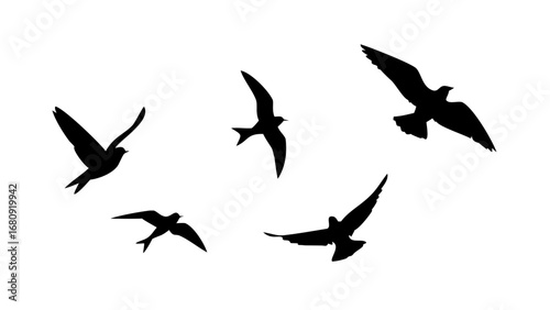 Flock of birds in flight and perched flying silhouette