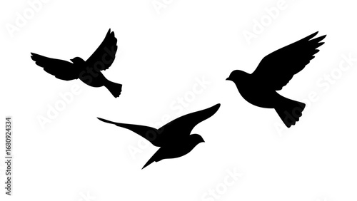 Majestic Eagle Soaring High bird flight