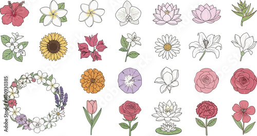 Collection of Various Hand Drawn Flower Illustrations.