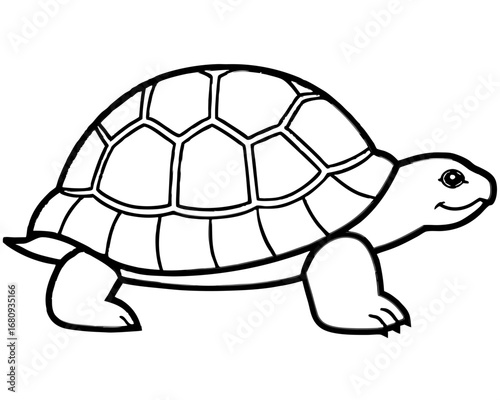 Black and White Turtle Tortoise Line Art Vector