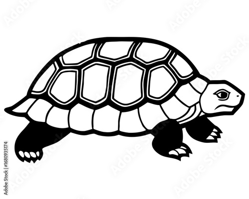 Black and White Turtle Tortoise Line Art Vector