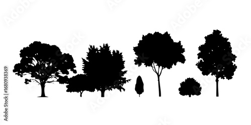 Black silhouette of a tortoise turtle reptile