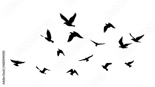 Flock of Birds in Flight flying nature