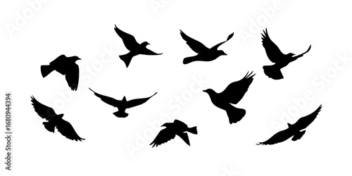 Flock of Birds in Flight flying silhouette