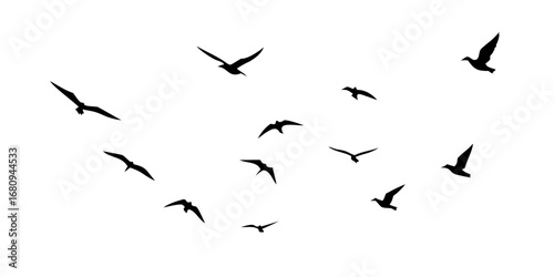 Flock of flying birds silhouettes wings