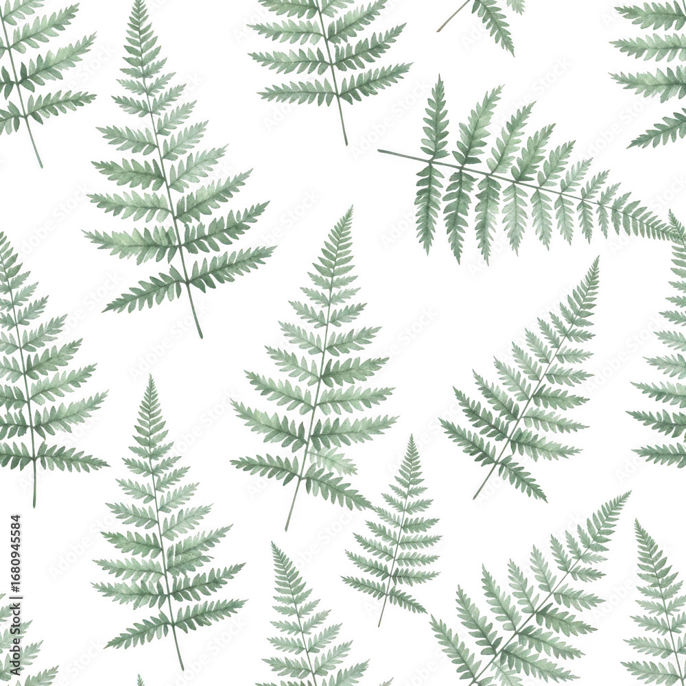 Obraz premium Green fern fronds isolated on transparent background
