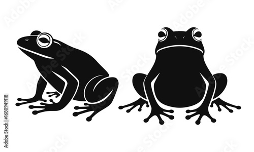 Four Frogs in Silhouette amphibian animal