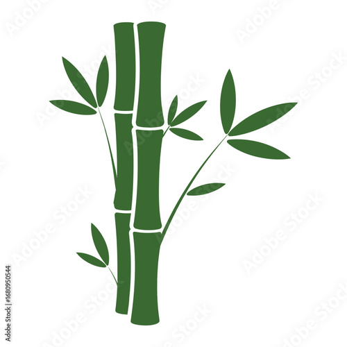 Green bamboo stalks with leaves plant