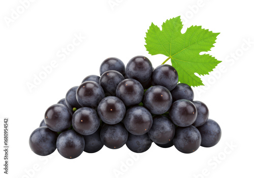 Isolated concord grapes with leaf, a heap of dark purple fruits ready to eat or use for juice