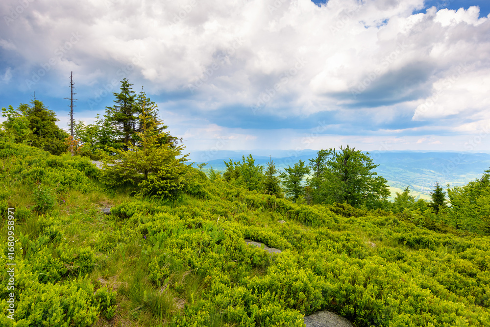 Obraz premium scenic summer landscape with green hill and cloudy sky. view from the slope in to the valley. countryside vacation in carpathian mountains