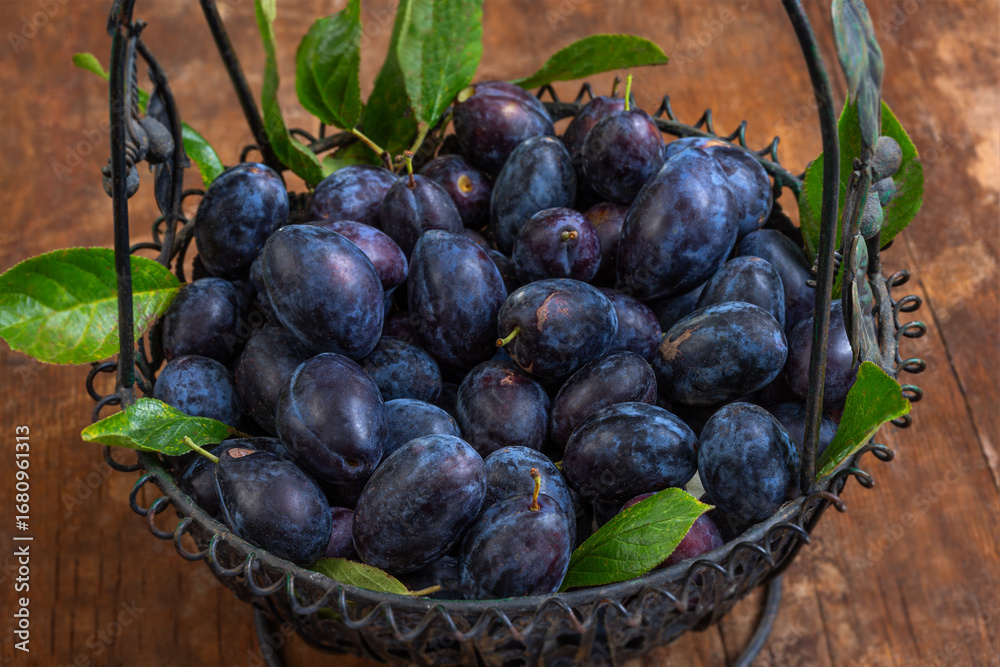 Fototapeta premium Fresh plums in a rustic basket on a wooden table