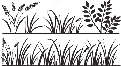 A  Silhouette images show illustrations of grass, wheat, and leafy plants