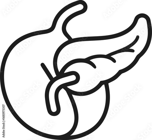  Pancreas outline icon vector icon on white background