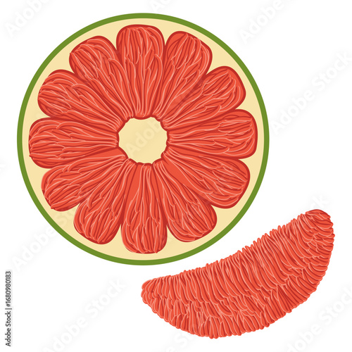 pomelo slice, Sliced pomelo fruit vector drawing.