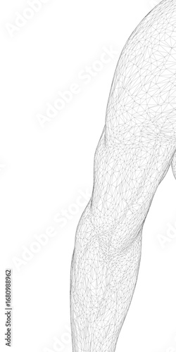 Male athlete's arm wireframe with defined forearm, bicep, and shoulder muscles, depicted as a black line vector illustration on white background.