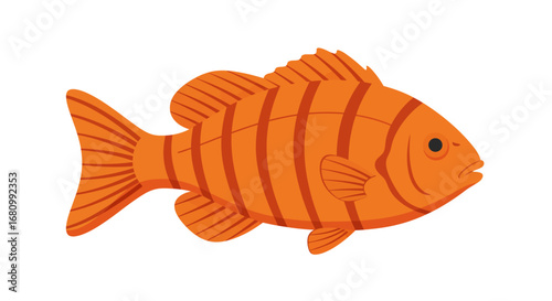 Bright orange tropical fish with vertical stripes and fins on a white background
