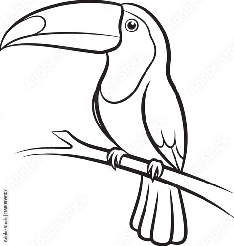 Black and white illustration of a toucan on a branch