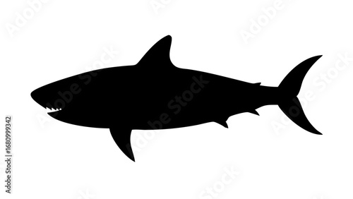Vector art of shark silhouette, a predator of the ocean, a dangerous marine animal with sharp teeth and powerful jaws, vector illustration