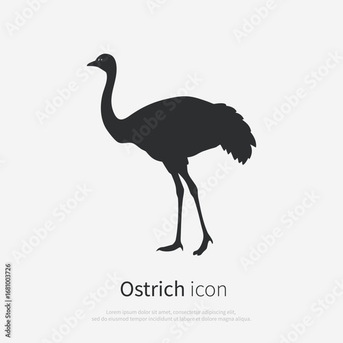 Cartoon African ostrich icon silhouette. Black logo ostrich isolated on white background. Vector illustration side view