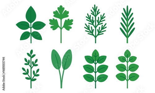 Flat herb icons set featuring parsley, rosemary, and mint leaves