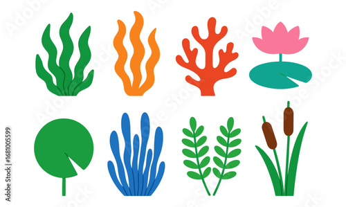 Colorful aquatic and botanical elements in flat style design