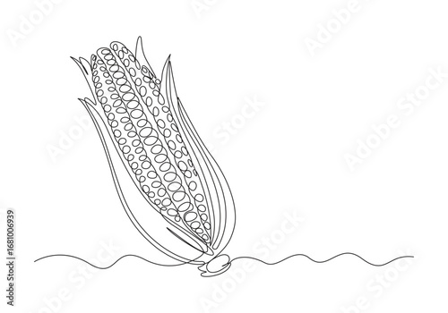 Thanksgiving and Autumnal Delight, Single Line Drawing of Corn on the Cob