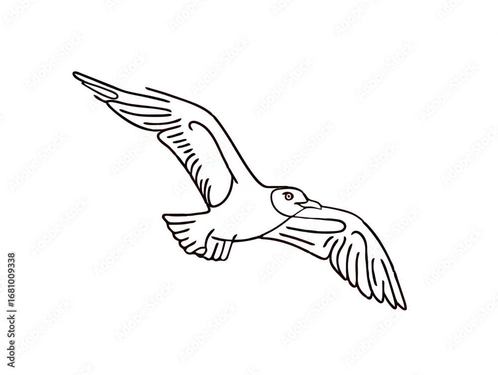 Fototapeta premium Seagull Flying Gracefully Outline, Isolated on White