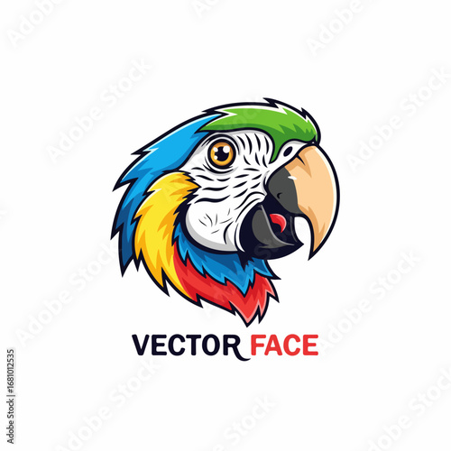 parrot on a white background