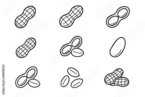 Collection of hand-drawn peanuts and shell illustrations