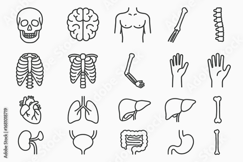 Human anatomy icons set: organs, skeleton, brain, heart, lungs, liver