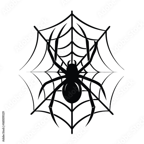 Minimal Spider Web Design on a Clean White Background