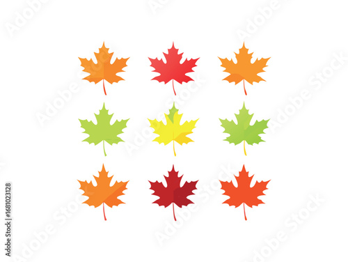 Collection of nine autumn maple leaves in warm colors