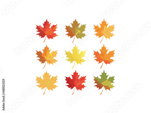 Collection of nine colorful maple leaves on a transparent background